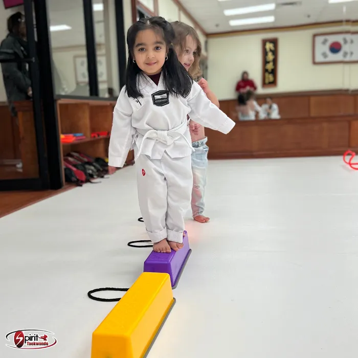 Spirit Taekwondo Plainview Picture 10