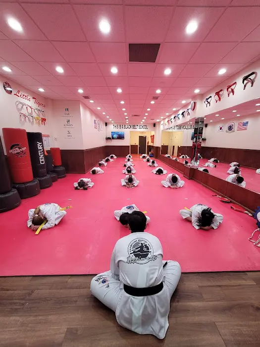 Champions Martial Arts Syosset Picture 6
