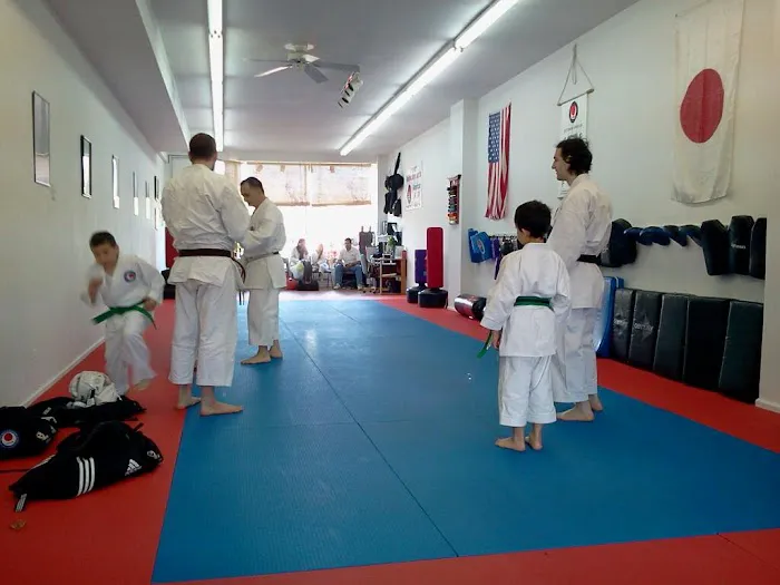 Syosset Martial Arts Center Picture 2