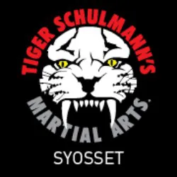 Tiger Schulmann's Martial Arts (Syosset, NY) Picture 7