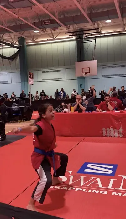 Fusion Martial Arts Picture 2