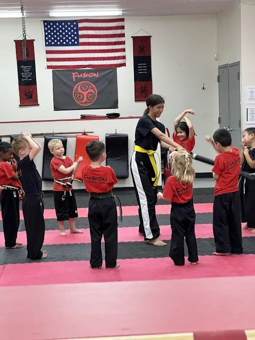 Fusion Martial Arts Picture 3