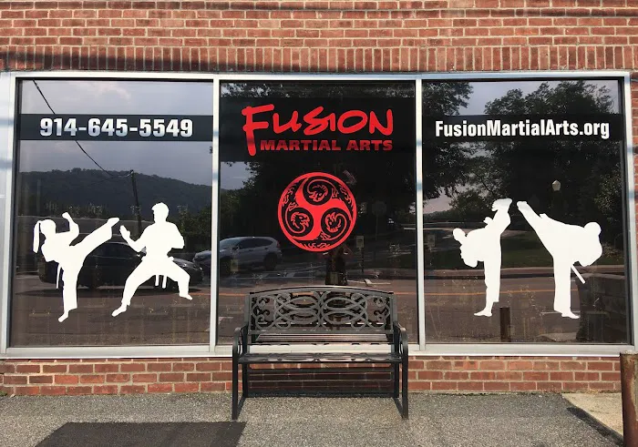Fusion Martial Arts Picture 6