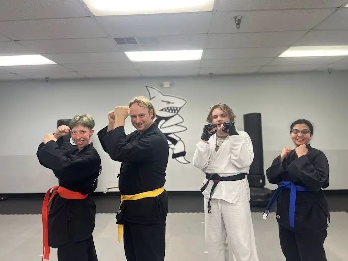 Action Karate Lebanon Picture 10