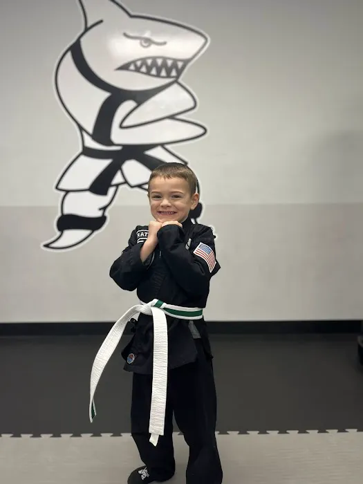 Action Karate Lebanon Picture 9