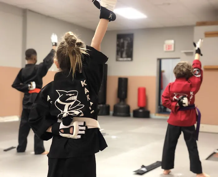 Action Karate Lebanon Picture 8