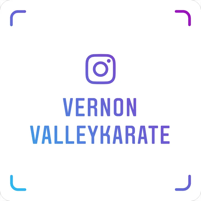 Vernon Valley Karate Academy Picture 6