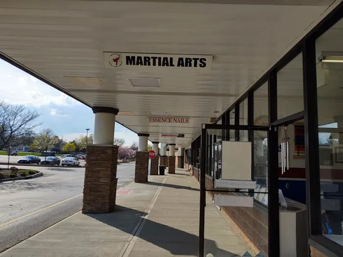 Northeastern Martial Arts Academy Picture 2