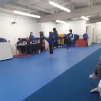 Family Martial Arts ico