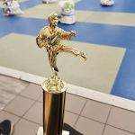 Iron Dragon Martial arts