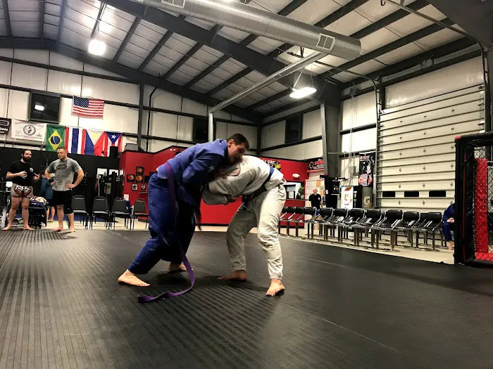 Tong Dragon Mixed Martial Arts Picture 4
