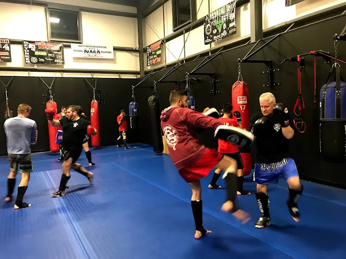 Tong Dragon Mixed Martial Arts Picture 1