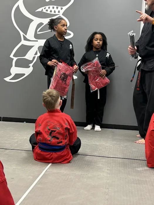 Action Karate Fairless Hills Picture 3