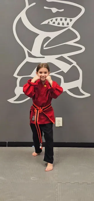 Action Karate Fairless Hills Picture 4