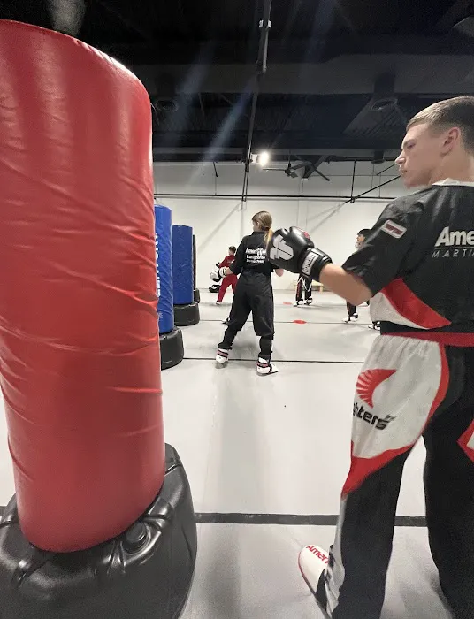 AmeriKick Martial Arts Picture 5