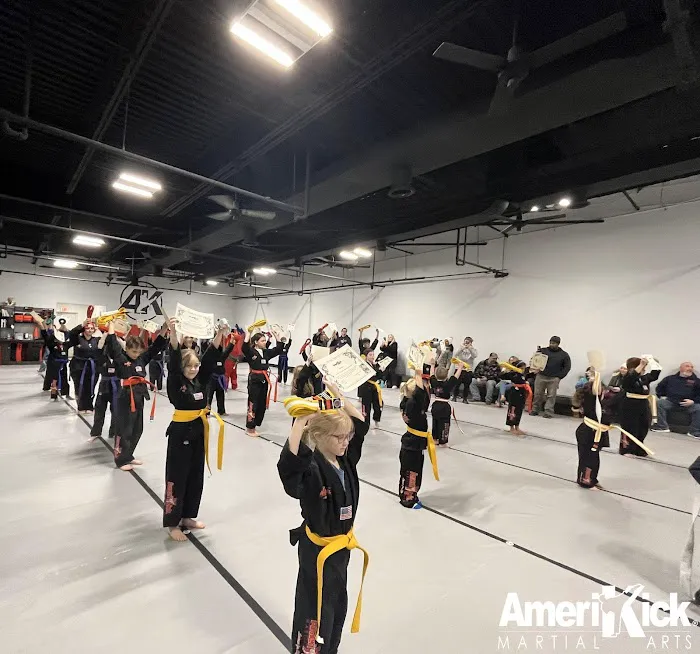 AmeriKick Martial Arts Picture 1