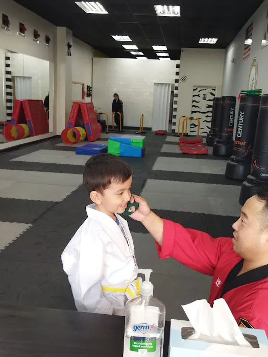 Master Lee's Tiger Kicks Picture 3