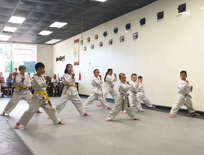Master Lee's Tiger Kicks Picture 4