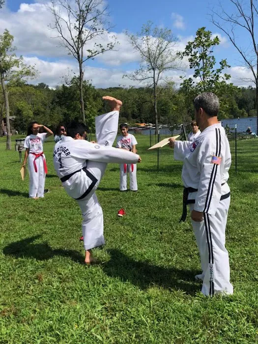 USTC's Red Tiger Taekwon-do Picture 3