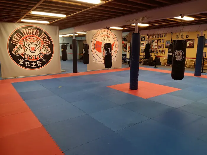 USTC's Red Tiger Taekwon-do Picture 10
