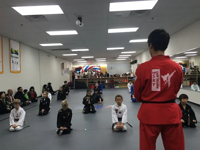 SKY Martial Arts Warrington Picture 2