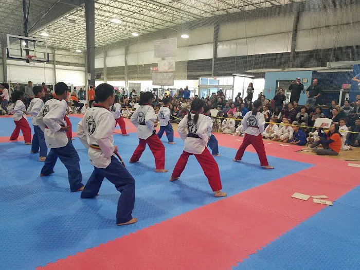 SKY Martial Arts Warrington Picture 4