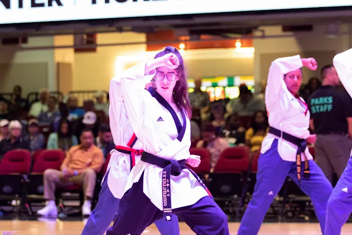 Master Na's Traditional Martial Arts Picture 1
