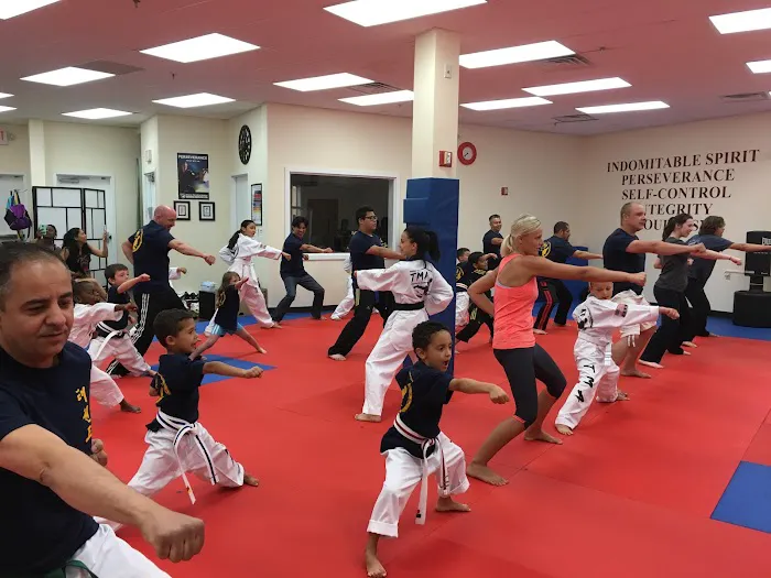 Master Na's Traditional Martial Arts Picture 8