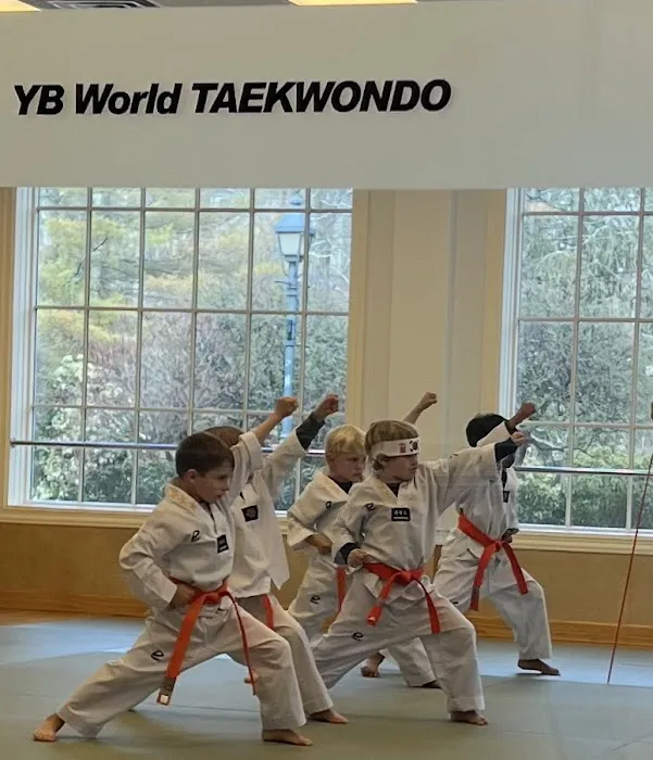 YB World Taekwondo Academy | Martial Arts, High Ridge Rd, Stamford Picture 6