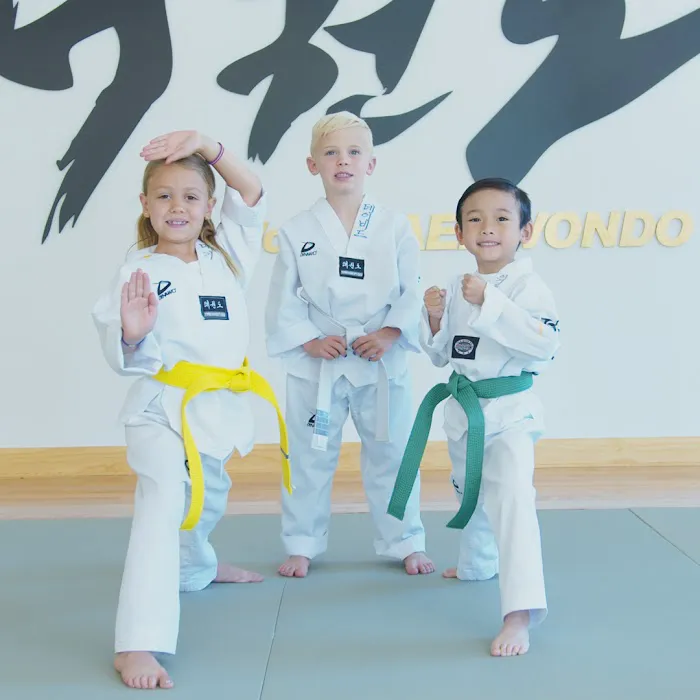 YB World Taekwondo Academy | Martial Arts, High Ridge Rd, Stamford Picture 9
