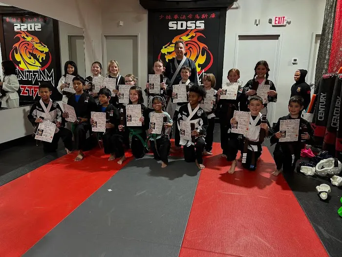 SDSS Martial Arts of Greenwich Picture 3