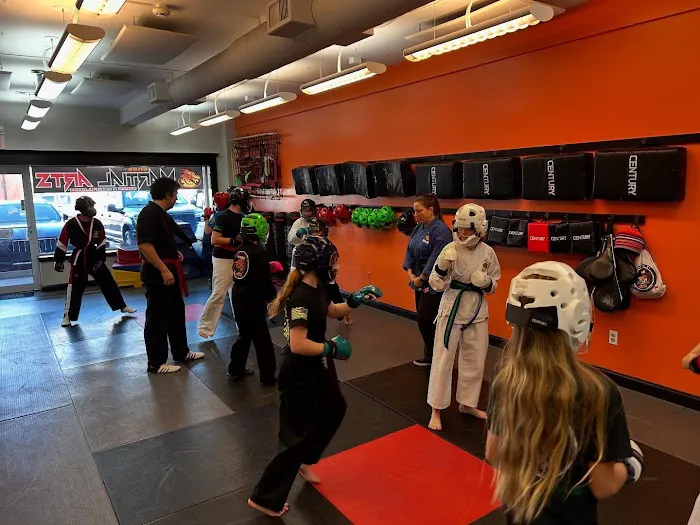 SDSS Martial Arts of Greenwich Picture 1