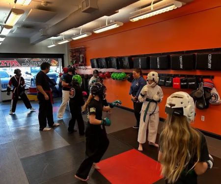 SDSS Martial Arts of Greenwich