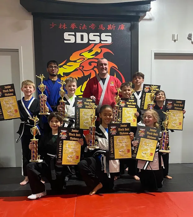 SDSS Martial Arts of Greenwich Picture 10