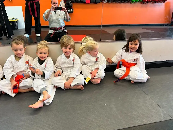 SDSS Martial Arts of Greenwich Picture 9