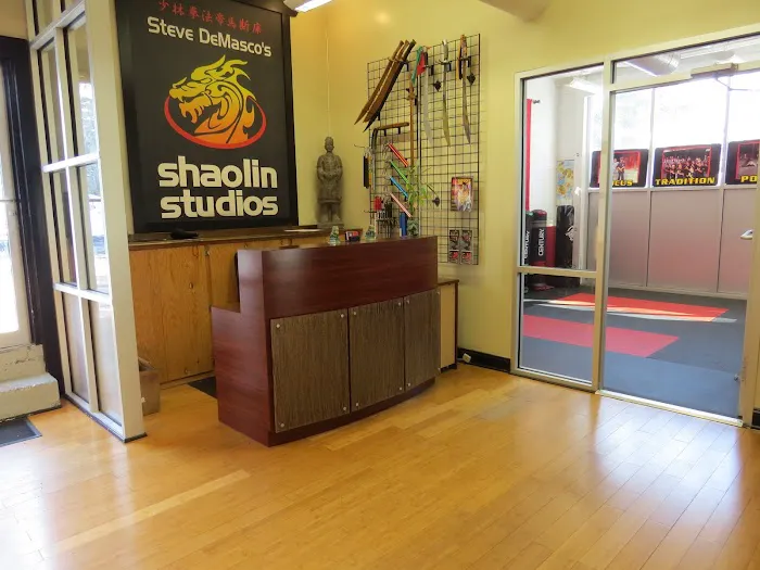 SDSS Martial Arts of Greenwich Picture 7