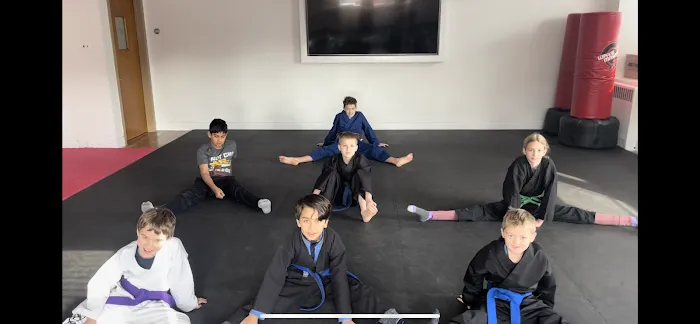 Dynamic Martial Arts Family Picture 1