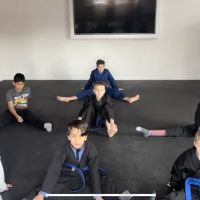 Dynamic Martial Arts Family ico