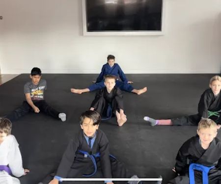 Dynamic Martial Arts Family