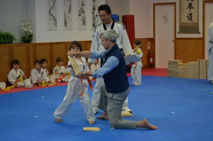 World Champion Taekwondo Picture 2