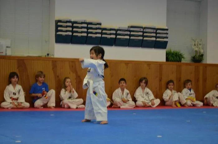 World Champion Taekwondo Picture 1