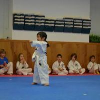 World Champion Taekwondo ico