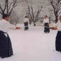 Still Mind Aikido Westchester NY ico