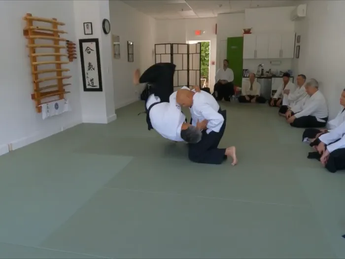 Still Mind Aikido Westchester NY Picture 9