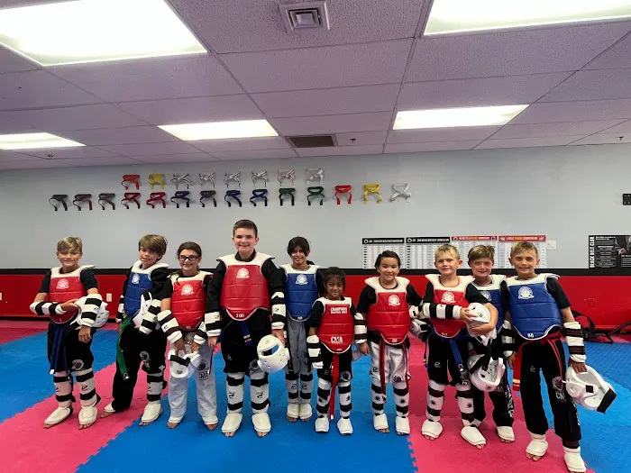 Champions Martial Arts Babylon Picture 7
