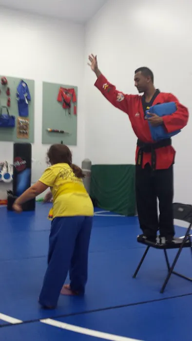 Premier Taekwondo Picture 1