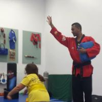 Premier Taekwondo ico