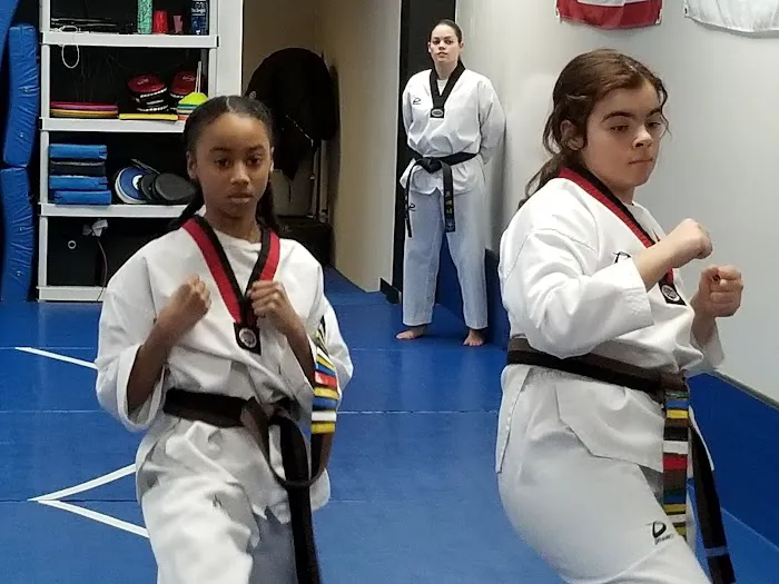 Premier Taekwondo Picture 3