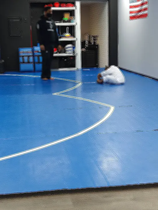 Premier Taekwondo Picture 5