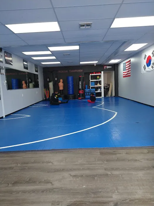 Premier Taekwondo Picture 6
